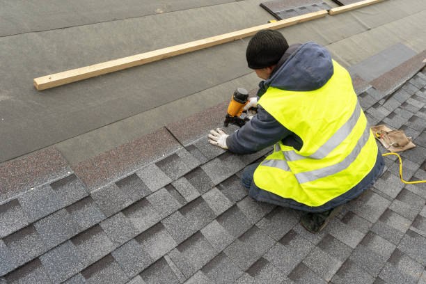 Best Residential Roofing Contractor  in Dland, MI