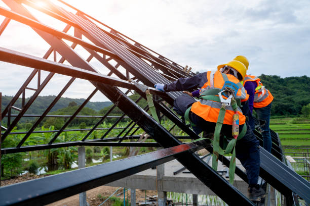 Best Roofing Contractors for Homes  in Dland, MI