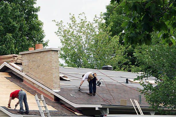 Best Storm Damage Roof Repair  in Dland, MI