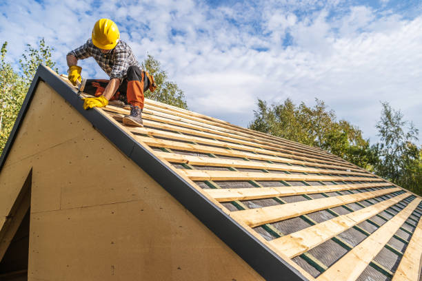 Best Gutter Installation and Roofing  in Dland, MI