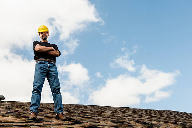 Best Roof Inspection Near Me  in Dland, MI