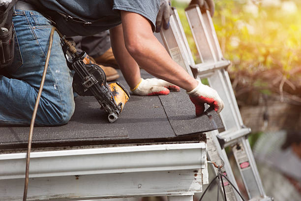 Best Affordable Roofing Company  in Dland, MI